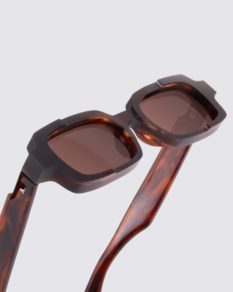 Brown Havana